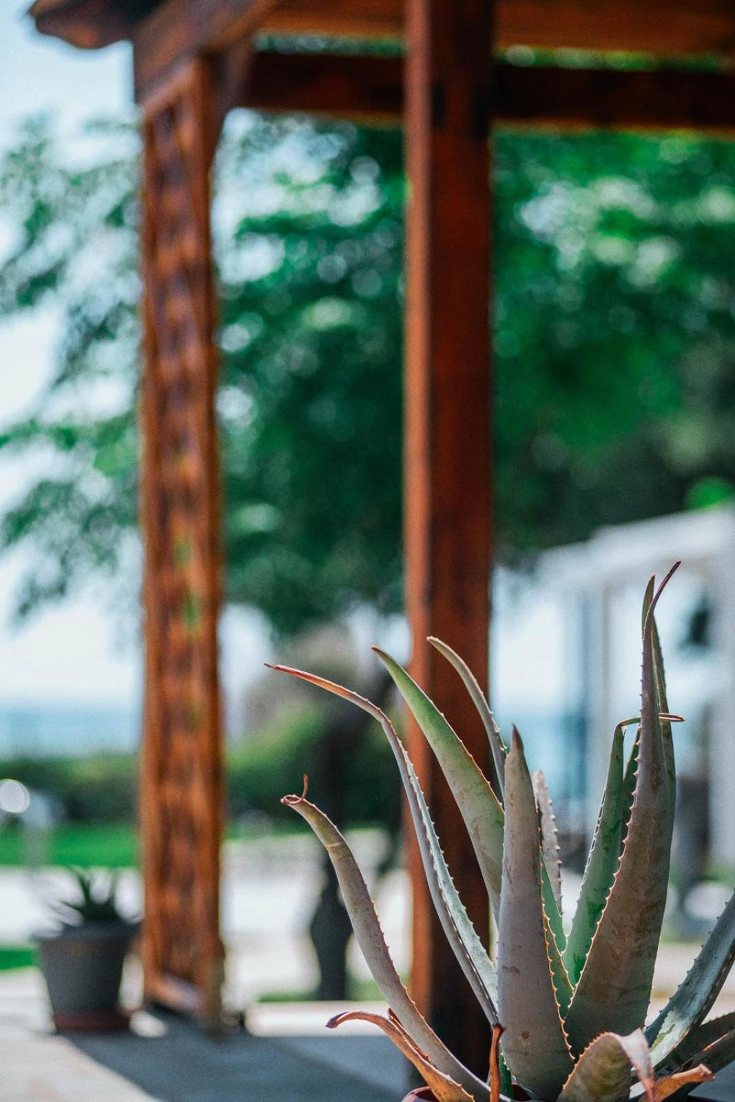 Villa Odyssea Dikella ภายนอก รูปภาพ